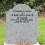 Leslie John Jones, 2006